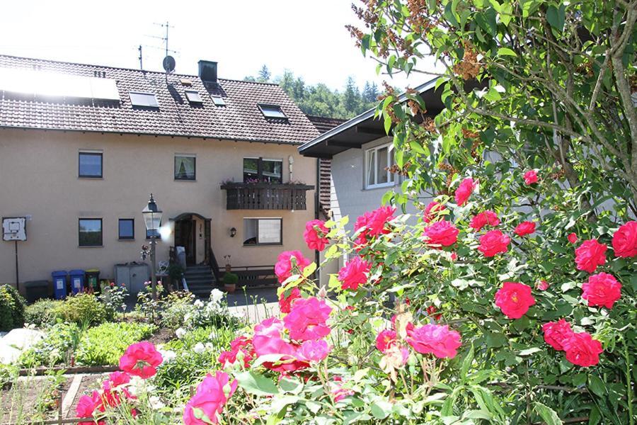 Apartment Baden Baden Haus Am Ibachweg Exterior photo
